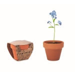 Pots personnalisés en terre cuite « ne m'oublie pas » Myosotis couleur marron