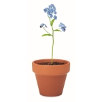 Pots personnalisés en terre cuite « ne m'oublie pas » Myosotis couleur marron cinquième vue