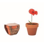 Pots promotionnels en terre cuite avec graines de pavot Amapola couleur marron