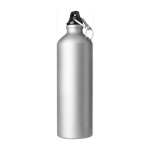 Gourde en aluminium de grande taille, 750 ml Cruiser XL Matt couleur argenté