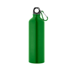 Grande gourde en aluminium colorée avec mousqueton, 800 ml Cruiser XL couleur vert clair