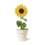 Jardinière biodégradable avec graines de tournesol SunFlower couleur naturel quatrième vue