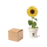 Jardinière biodégradable avec graines de tournesol SunFlower vue principale