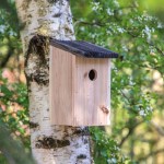 Maison de jardin pour oiseaux avec ouverture de 30 mm et fentes couleur bois cinquième vue