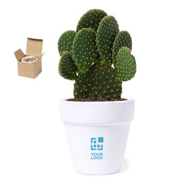 Pot avec graines de cactus et substrat avec zone d'impression