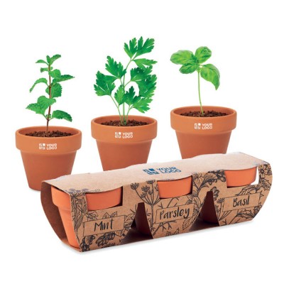 Pot en bois, en liège ou carton avec graines à planter – Compléments d'image