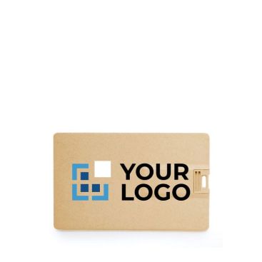 Carte USB écologique avec impression en couleur USB Ecofriendly