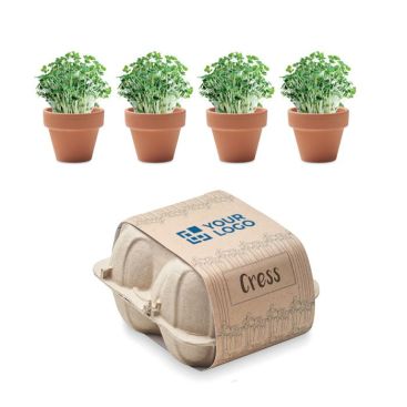 Set de 4 pots avec des graines de cresson